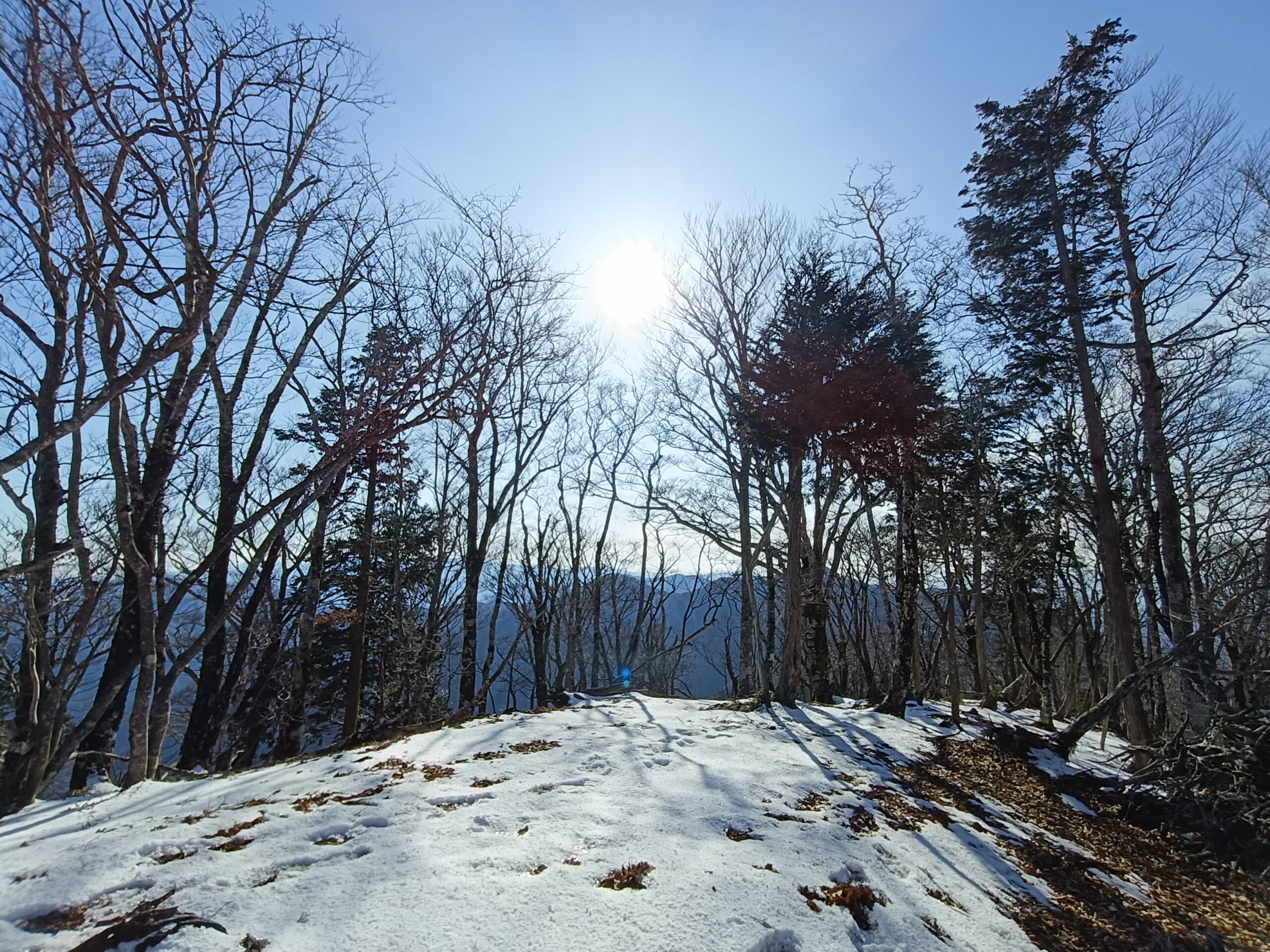 葉を落とした木々の間に日が差し、雪が残る山道